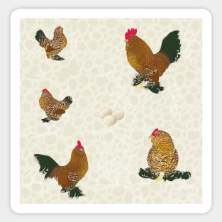 Belgian D'Uccle Pattern Cream Sticker